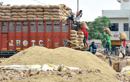 पंजाब: धान खरीद में संगरूर और गोदामों तक फसल पहुंचाने में पटियाला नंबर वन