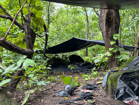 झारखंड के गुमला में पुलिस और सुरक्षा बलों के साथ मुठभेड़ में तीन नक्सली ढेर, दो पांच-पांच लाख के इनामी