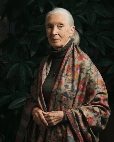 नहीं रहीं जेन गुडॉल: भारत आई थीं मिस्टर 'एच' के साथ, बताया था क्यों है वो खास