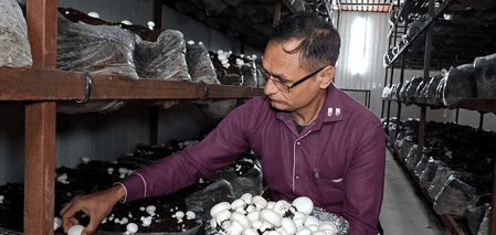 जम्मू-कश्मीर: उधमपुर में मशरूम की खेती ने बदली जोगिंदर की जिंदगी, बढ़ी आमदनी और दे रहे लोगों को रोजगार