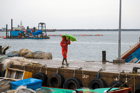 चक्रवाती तूफान 'दित्वाह' : तमिलनाडु-पुडुचेरी के तटीय क्षेत्रों में 'ऑरेंज अलर्ट' जारी, कई जिलों में स्कूल और कॉलेज बंद