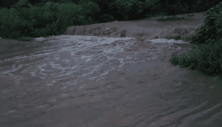 उत्तराखंड : रामनगर में मूसलाधार बारिश से जनजीवन ठप, उफान पर नदी-नाले, प्रशासन अलर्ट