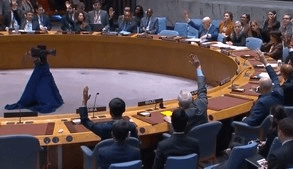 यूएनएससी में पाकिस्तान को इजरायल ने लताड़ा, ओसामा बिन लादेन की दिलाई याद