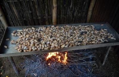 मूगा रेशम उत्पादन का 90 प्रतिशत हिस्सा असम से आता है : सीएम हिमंता बिस्वा सरमा