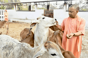 सीएम योगी के नेतृत्व में गो सेवा से तरक्की करेगा उत्तर प्रदेश