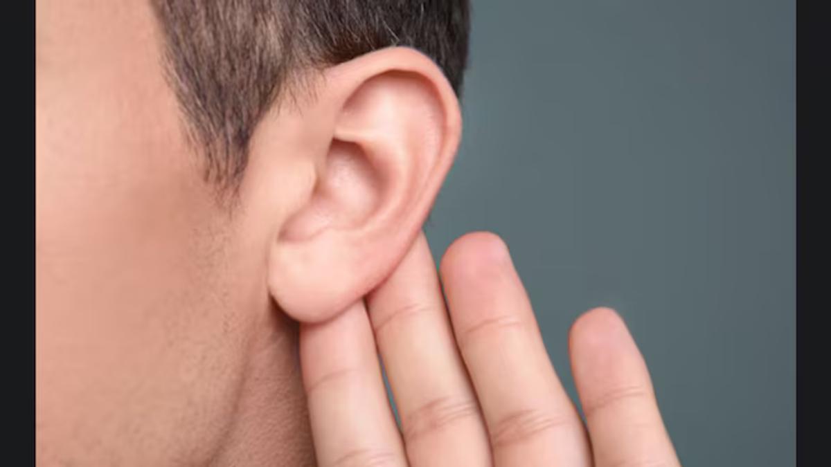 WHO hearing loss prediction