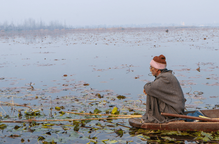 कश्मीर में तापमान गिरने से बढ़ी ठंड, जम्मू में छाया रहा घना कोहरा