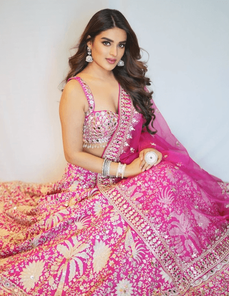 बर्थडे स्पेशल: 300 से ज्यादा लड़कियों को पछाड़ निधि अग्रवाल बनीं टाइगर श्रॉफ की हीरोइन