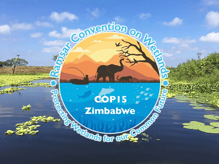 सीओपी 15 : वैश्विक आर्द्रभूमि संरक्षण पर ऐतिहासिक सहमति