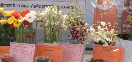 रायसेन कृषि महोत्सव में 'स्मार्ट' खेती, ड्रैगन फ्रूट और ड्रिप सिंचाई को बढ़ावा देने की दी जानकारी