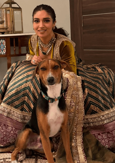 स्ट्रीट डॉग्स को हटाने के फैसले पर भड़के सेलेब्स, सोशल मीडिया पर जताई नाराजगी