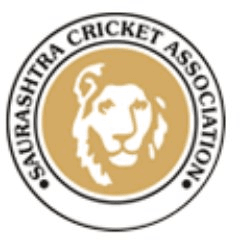 सौराष्ट्र क्रिकेट एसोसिएशन ने फ्रेंचाइज-आधारित प्रो टी20 लीग की घोषणा की