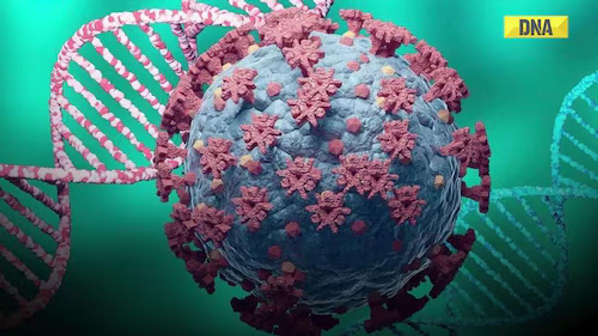 mumbai covid scare 2025,