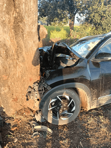 मध्य प्रदेश: श्योपुर में तेज रफ्तार कार पेड़ से टकराई, पूर्व मंत्री के भांजे की मौत