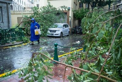 वियतनाम में बुआलोई तूफान ने 51 लोगों की ली जान, 14 लोग अब भी लापता; 608 मिलियन यूएसडी नुकसान का अनुमान