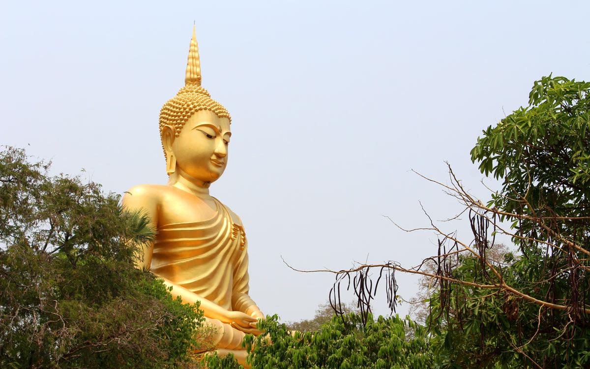 Buddha birthday celebration