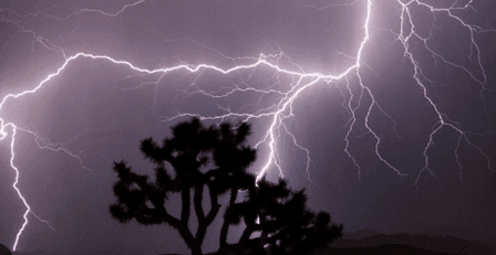 उत्तर प्रदेश: प्रयागराज में आकाशीय बिजली गिरने से एक ही परिवार के चार सदस्यों की मौत