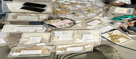 ईडी ने दिल्ली और हरियाणा में इंदरजीत सिंह यादव से जुड़े 10 ठिकानों पर छापेमारी की