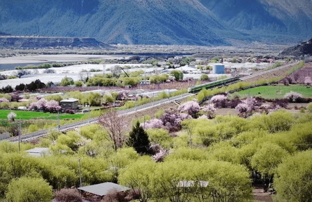 पहली तिमाही में शीत्सांग की जीडीपी 77.8 अरब युआन से अधिक, वार्षिक आधार पर 6.1 प्रतिशत की वृद्धि