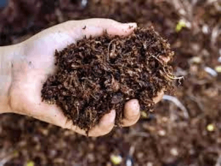 ओडिशा: उर्वरक संकट को लेकर विपक्षी दलों ने की राज्य सरकार की आलोचना