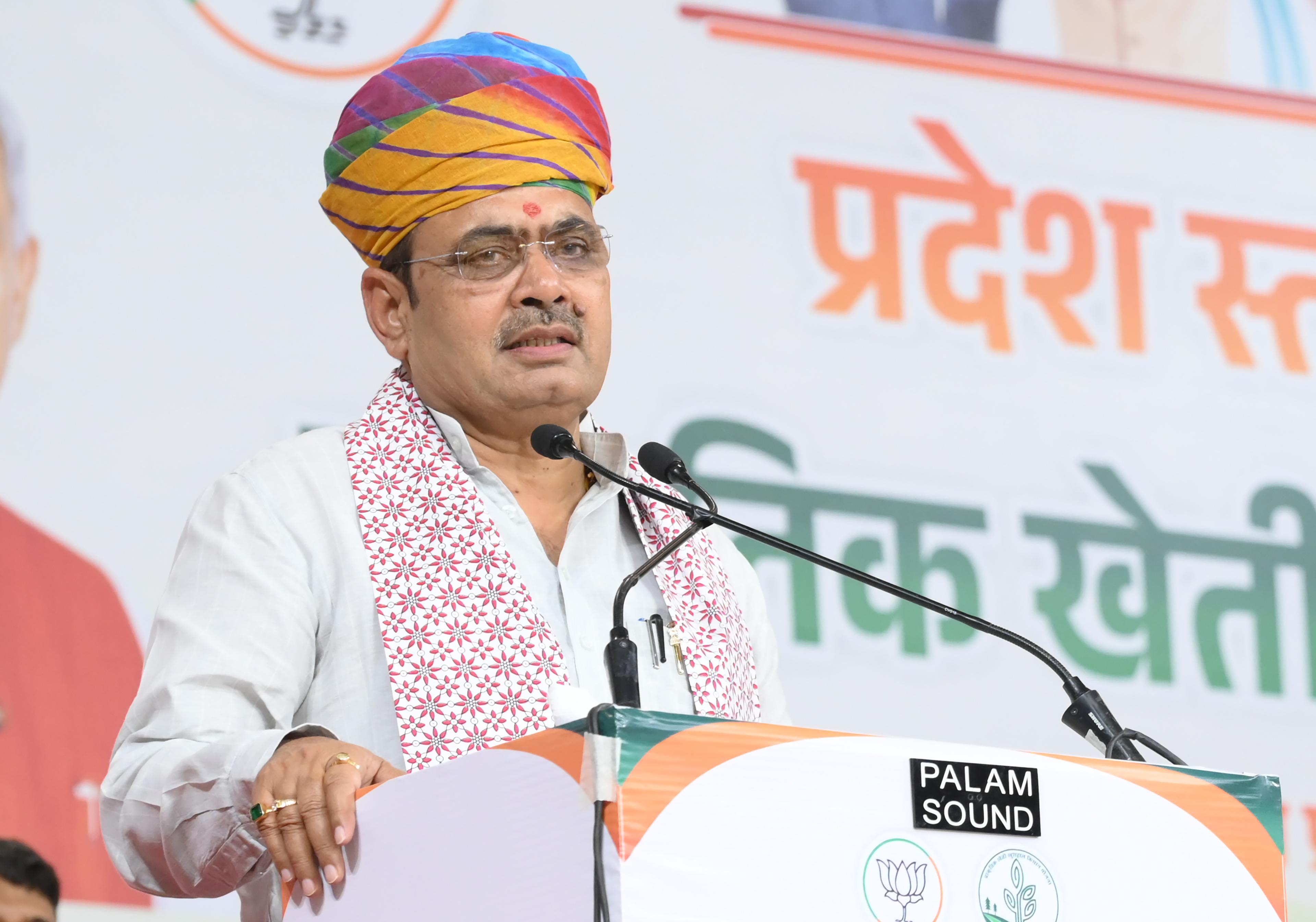 नीति आयोग के सदस्य ने राजस्थान को 'उपलब्धि हासिल करने वाला राज्य' बताया