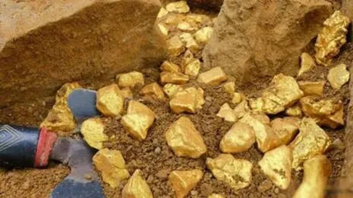 farmer finds gold France
